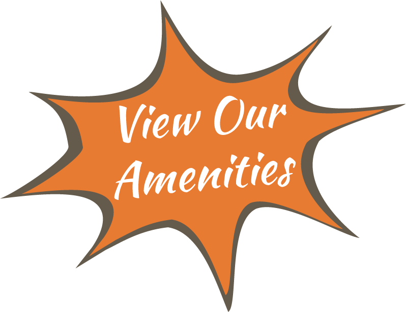 View Our Amenities